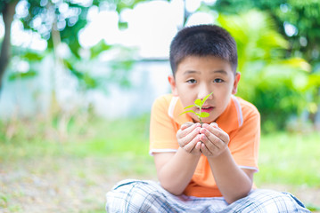 Asian child holding young seedling plant in hands, in garden, on