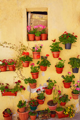 Fototapeta na wymiar Burgos colorful facade with flower plants pots