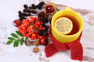 Cup of tea with lemon wrapped woolen scarf, warming beverage for flu, autumn decoration