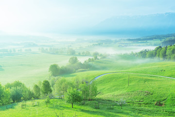 Anger, Germany, Bavaria. In the spring.