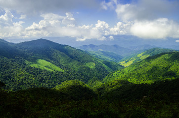 Naklejka premium Stunning aerial view of spectacular jungles
