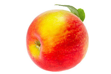 one apple with a leaf on a white background
