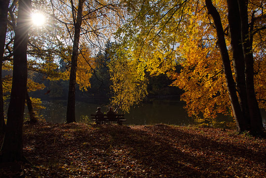 Herbstmorgen
