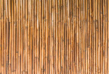 bamboo wood of fence wall background