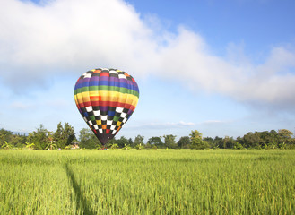 Fototapeta premium Balloon middle infield