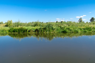 Green Forest and River
