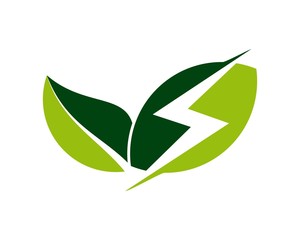 Fototapeta premium leaf energy