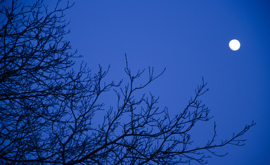 Noc © KrólestwoNauki