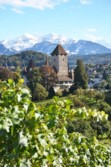 Fototapeta na wymiar Spiez Castle, Switzerland