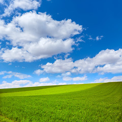 Cereal fields by The Way of Saint James in Castilla