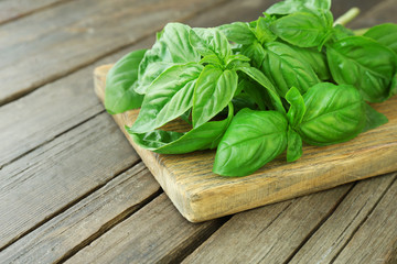 Green fresh basil on wooden background