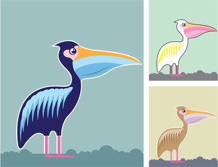 Pelican Vector Illustration Colors