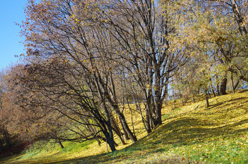 Naklejka premium MOSCOW, RUSSIA - October 21, 2015: Park at the Kolomenskoye esta