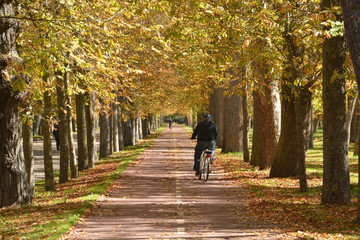 paseando en bicicleta en oto&ntilde;o
