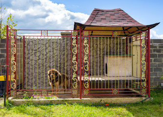 House for the dog © Sergey Lavrentev