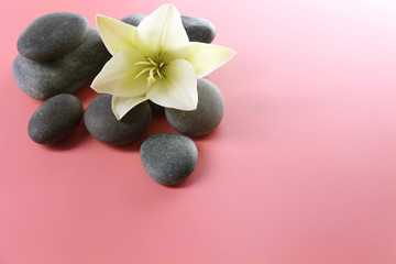 Fototapeta na wymiar Spa stones with flower on pink background
