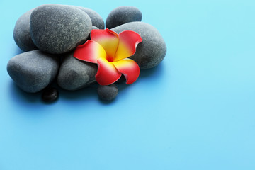 Spa stones with flower on blue background