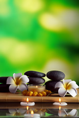 Obraz na płótnie Canvas Still life with spa stones on green blurred background