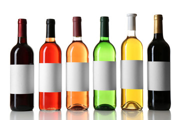 wine bottles in a row isolated on white background
