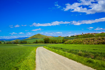 Cereal fields by The Way of Saint James in Castilla