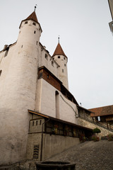 Fototapeta na wymiar Schloss in Thun