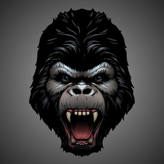 Gorilla head illustration