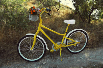 Fototapeta na wymiar Beautiful yellow bicycle with bouquet of flowers in basket, outdoors