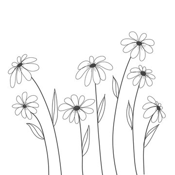 daisy flowers hand drawn vector for background , decorate, cover