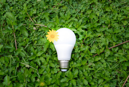 LED Bulb with lighting - Technology of eco-friendly lighting