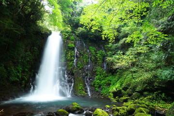 熊本県西原村 白糸の滝（横）