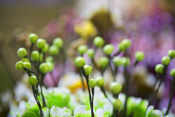 Artificial flowers, foliage and colorful abstract background