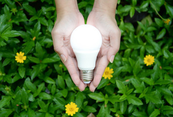 LED Bulb with lighting - Technology of eco-friendly lighting