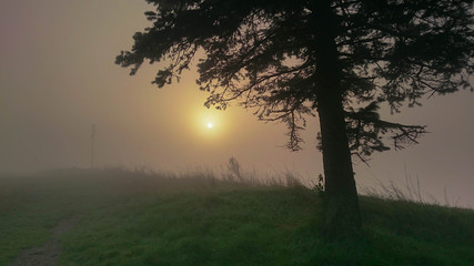 Fototapeta na wymiar Sonnenschein hinter Nebel