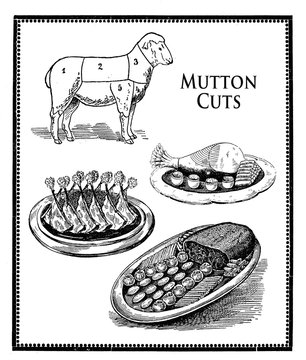 Food engraving collage, mutton cuts and food presentation