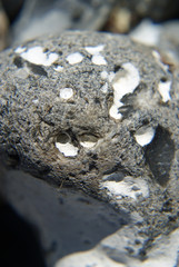 Hühnergoetter gross