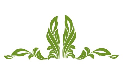 Leaf