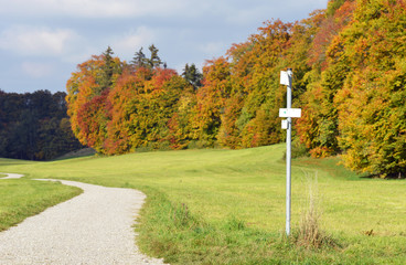 Wanderweg im Herbst mit Wegweiser