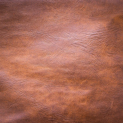 The surface Details of the leather
