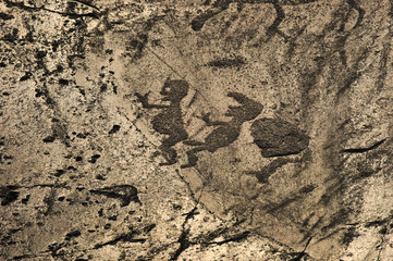 A scene of the sex. Neolithic rock drawings. Peri Nos cape, Onego Lake, Russia