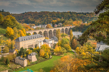 Fototapeta premium View of Luxembourg forest during autumn 2015