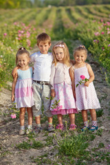 Stylish kids are walking in roses field