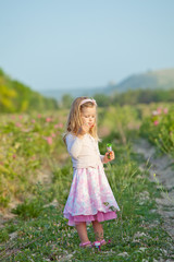 Fototapeta na wymiar Beautiful girl in a roses field 