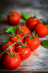 Tomatoes on rustic wooden background