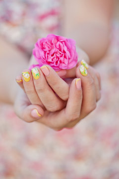 Hands with pink rose