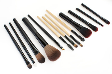 brushes set for professional makeup artist on white background