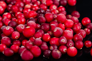 frozen cranberries on a black background