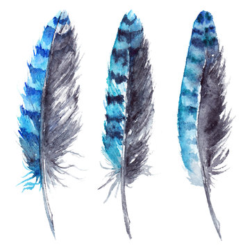 Watercolor blue jay feather set black blue isolated