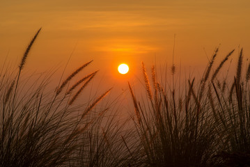 Sunrise with Grass