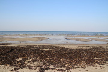 Wild beach, Baltic sea