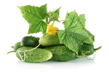 Many fresh raw cucumbers with flower isolated on white